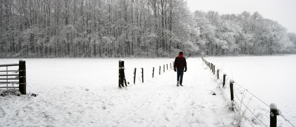 Brynmor - Welsh Winter Walks for All The Family